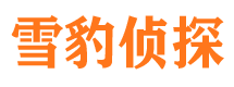 新龙侦探社